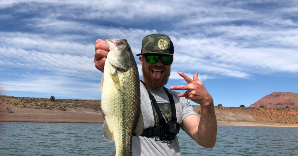 When Spinnerbait Bass Fishing Works Good