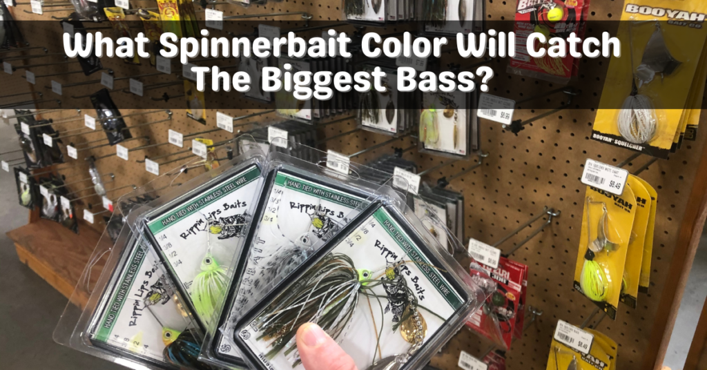 Good Spinnerbait Colors