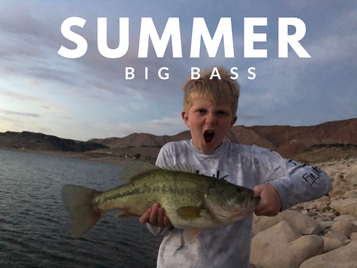 10 Great Summer Bass Fishing Patterns