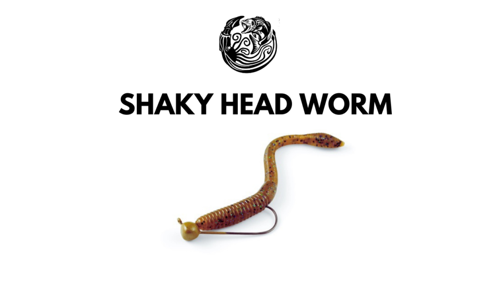 summer bass fishing shaky head worm