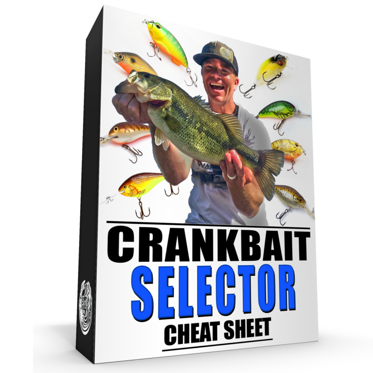 Crankbait For Bass (The Ultimate Guide to Catch More Bass!)