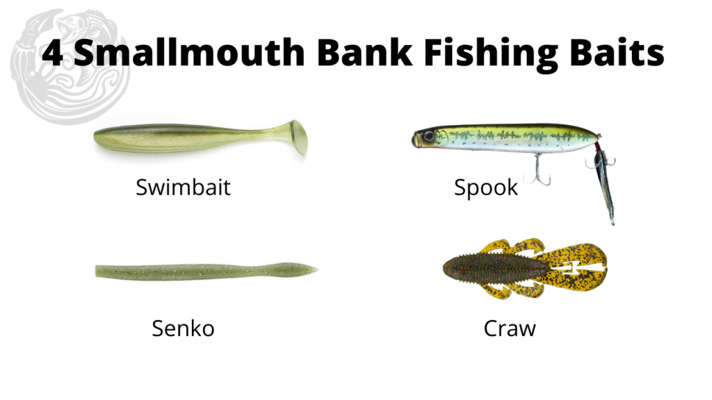 4 baits bank fishing for smallmouth bass
