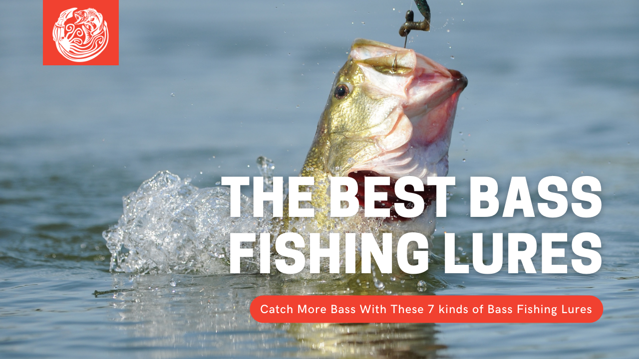 Best Bass Fishing Lures (Secrets Revealed) - Kraken Bass