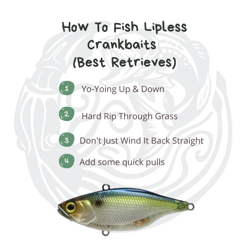 how to fish lipless crankbait