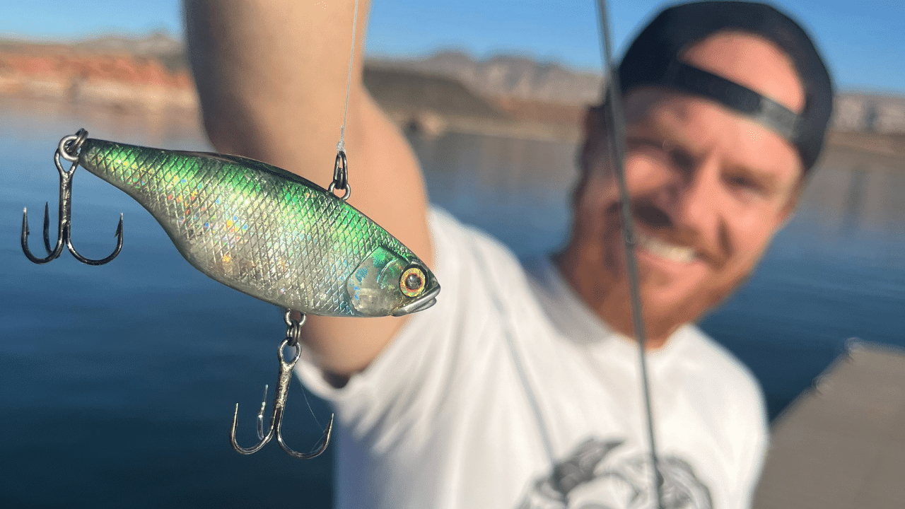 Lipless Crankbaits Tips For Spring Bass Fishing 