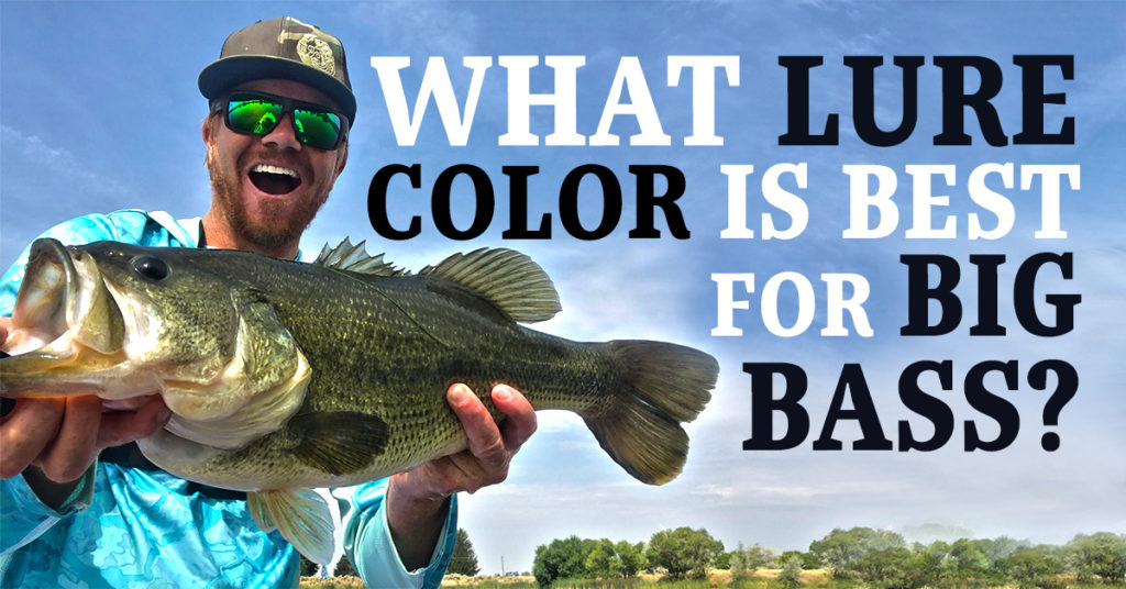 Our Favorite Wake Baits To Fish To Catch Aggressive Bass! 