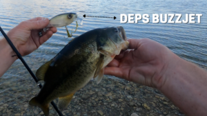 Depz BuzzJet Bass Fishing