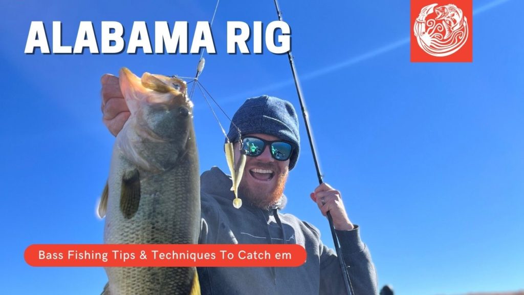 The Alabama Rig: A Comprehensive Guide for Bass Fishermen - Kraken Bass