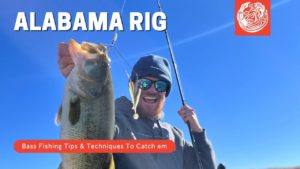 Weightless Texas Rig Senko - How to Rig, Use, and Catch Bass on